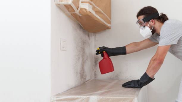 Professional Bathroom Mold Removal technician working in Boston, VA