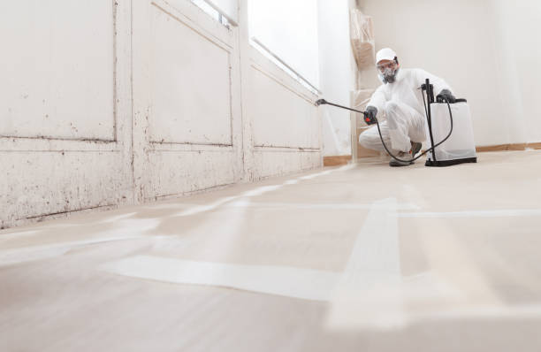 24/7 Emergency Bathroom Mold Removal experts in Boston, VA