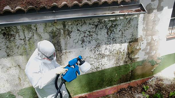 Top rated local Bathroom Mold Removal specialists in Boston, VA